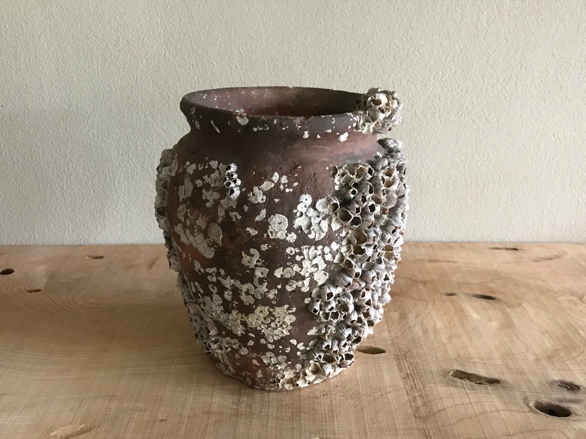 Octopus Pot