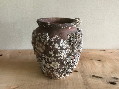 Octopus Pot