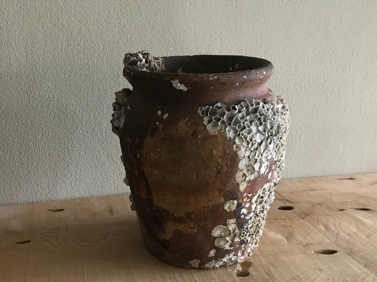 Octopus Pot