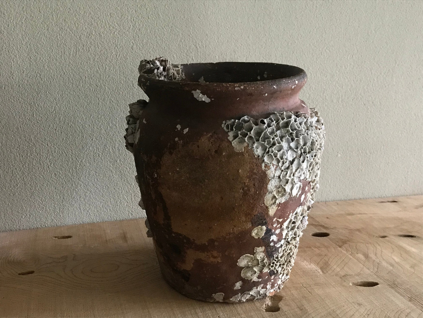 Octopus Pot