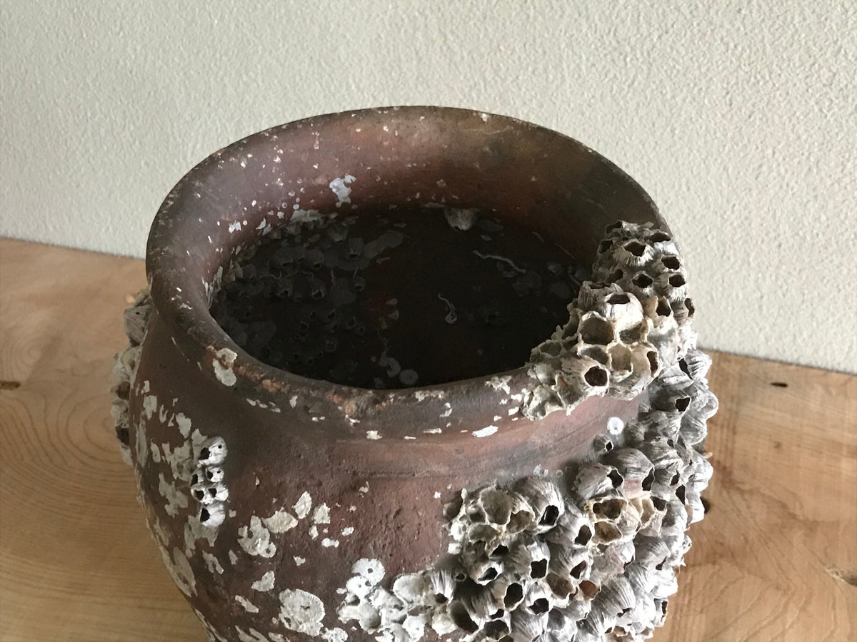 Octopus Pot