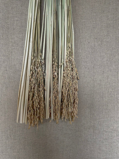 New Year's rope decoration, hoju-musubi (box included)