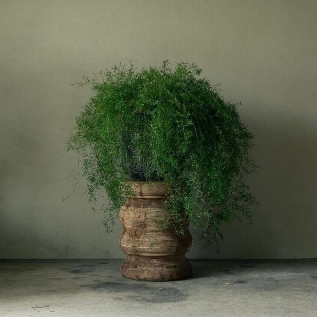 Handmade wooden stool