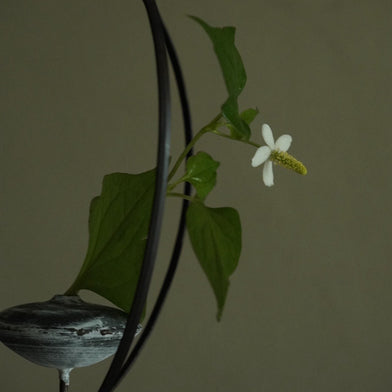Flower Vase by Yo Samejima