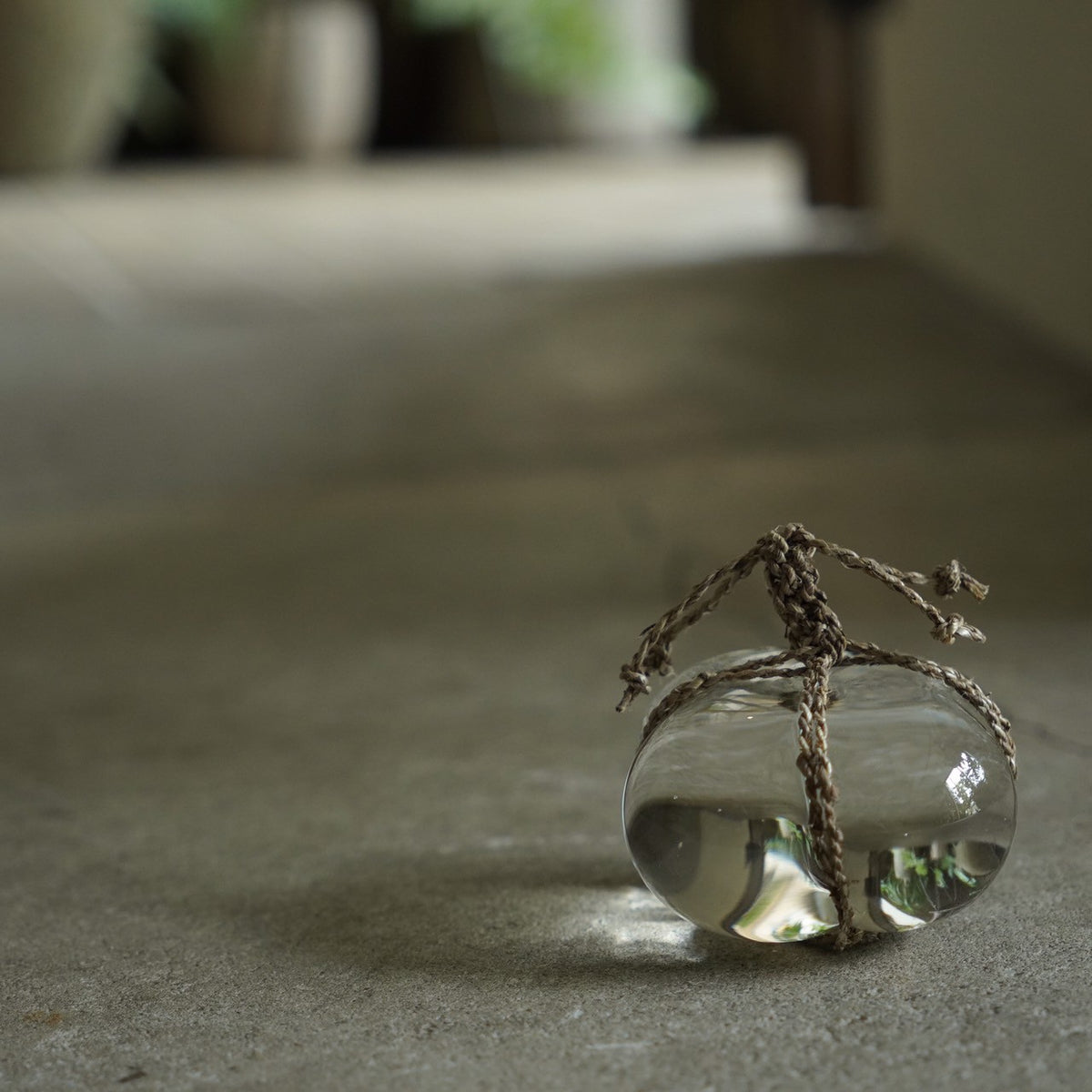 Glass Barrier Stone / Banana plant a