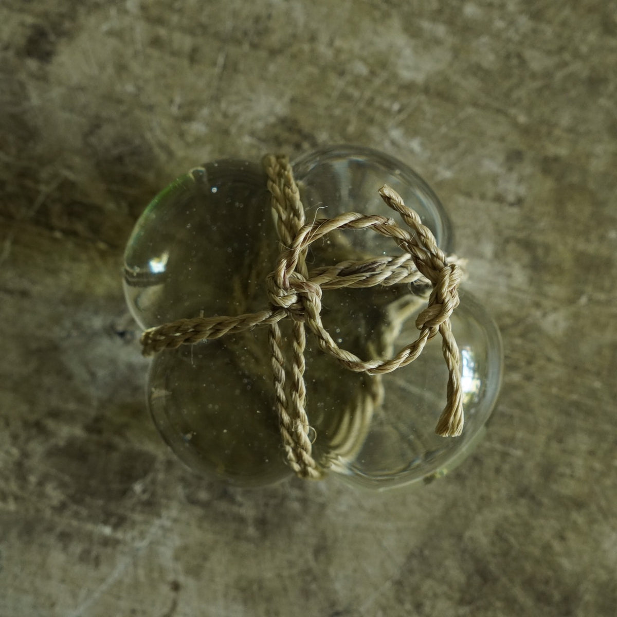 Glass Barrier Stone / Karamushi
