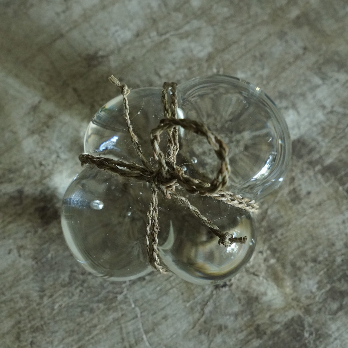 Glass Barrier Stone / Banana plant a