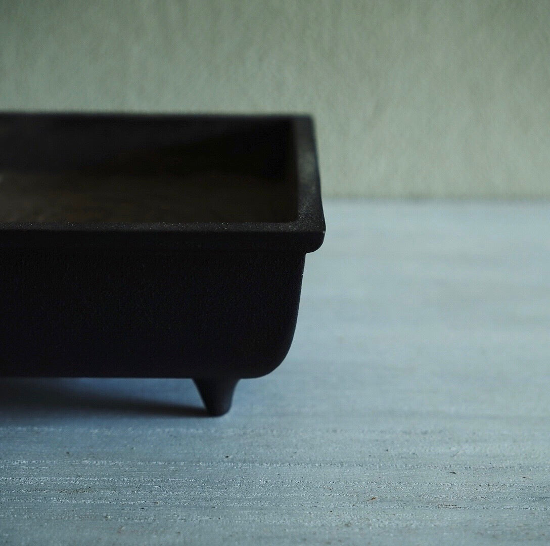 Mosquito repellent #2