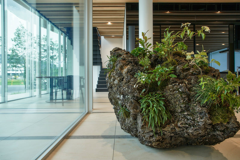 荒川尚也 アワ水差し – Landscipe