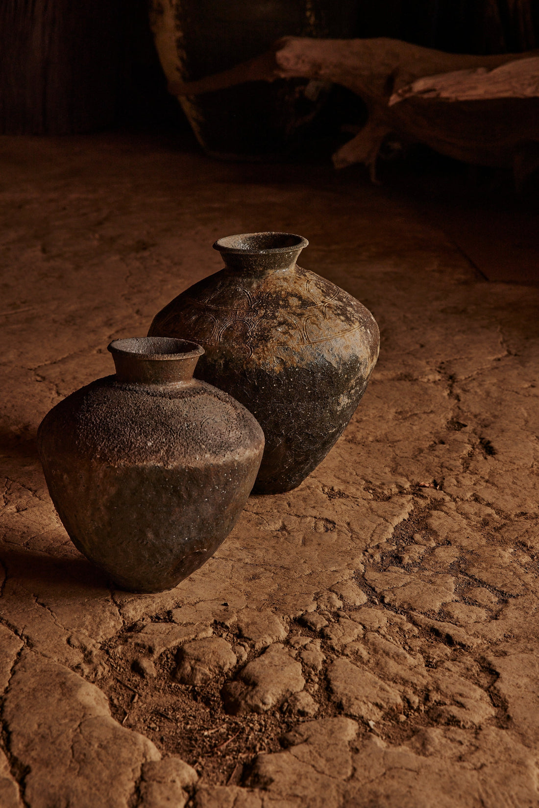 展示会のお知らせ