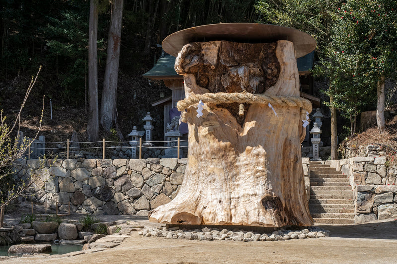 鮫島陽　塩壺 鮫島陽 花壺C② – Landscipe