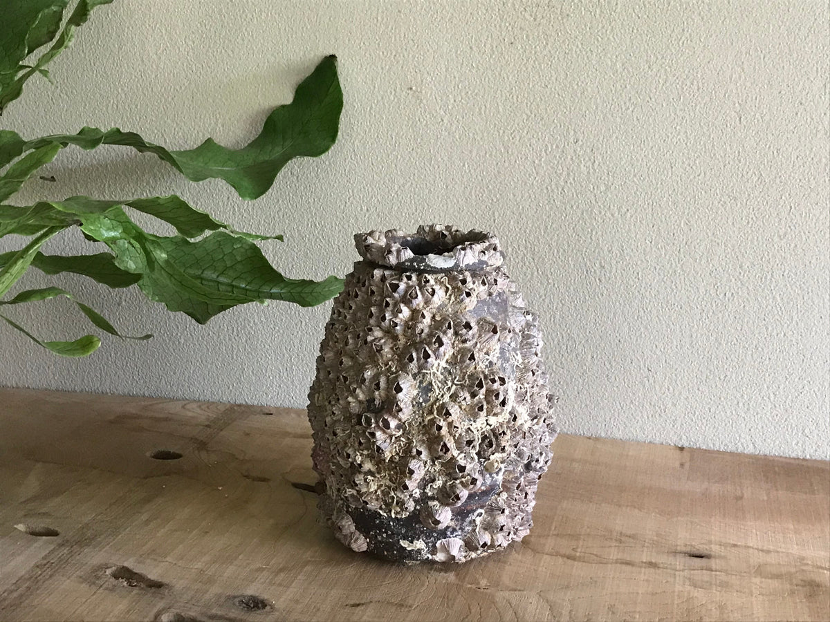 Octopus Pot