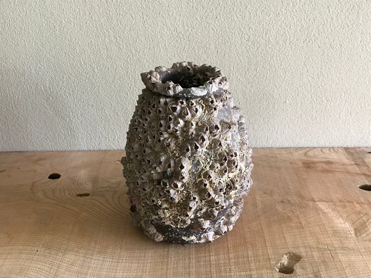 Octopus Pot