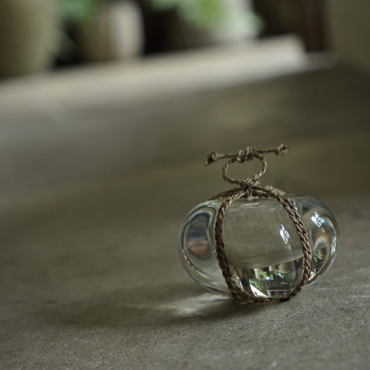 Glass Barrier Stone / Banana plant a