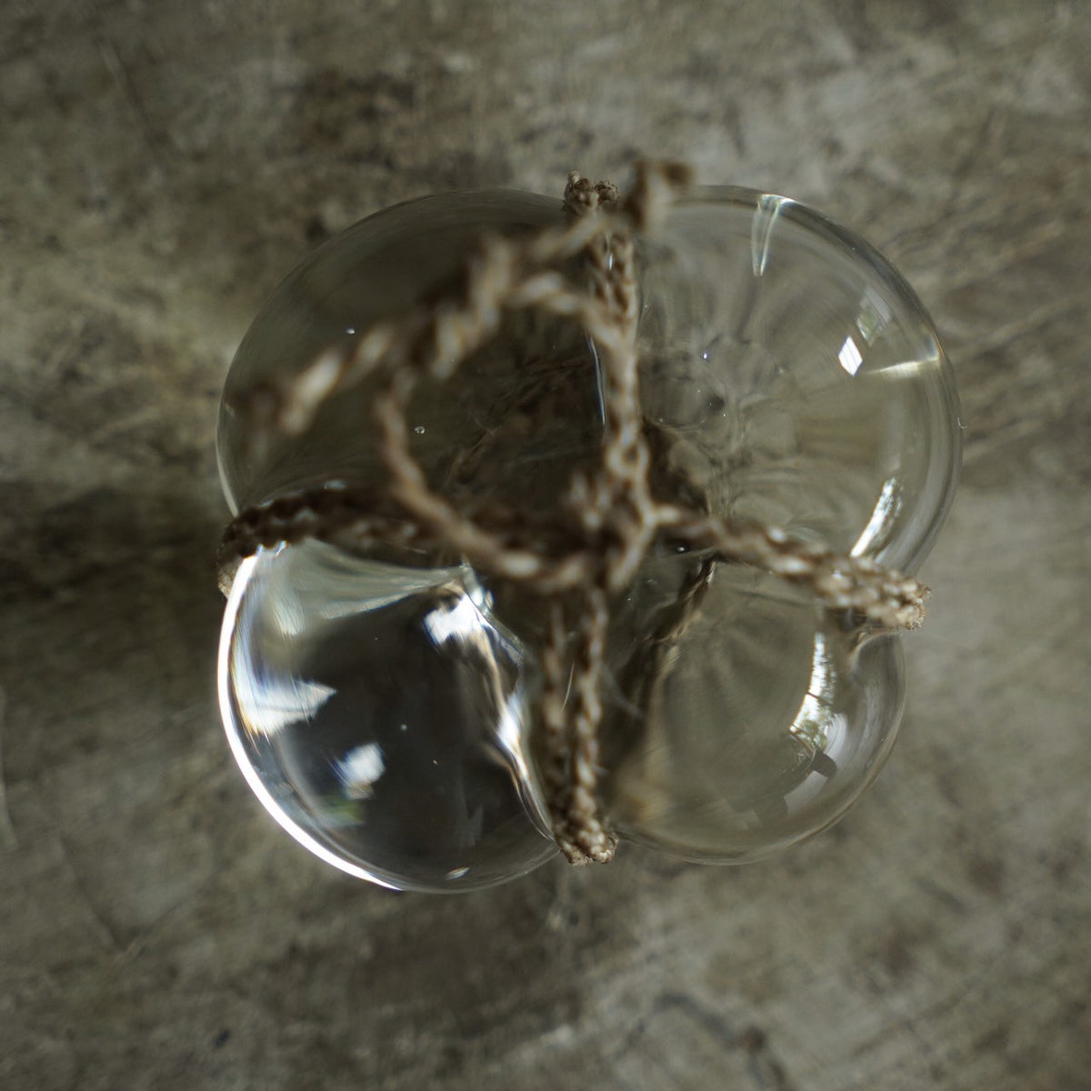 Glass Barrier Stone / Banana plant a