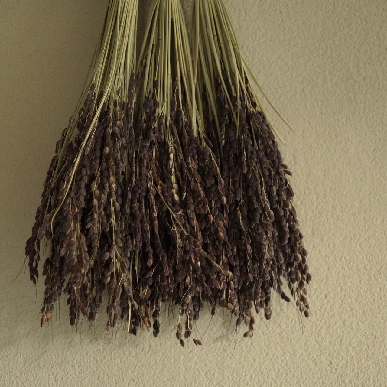 注連縄飾り　えびじめ／黒米