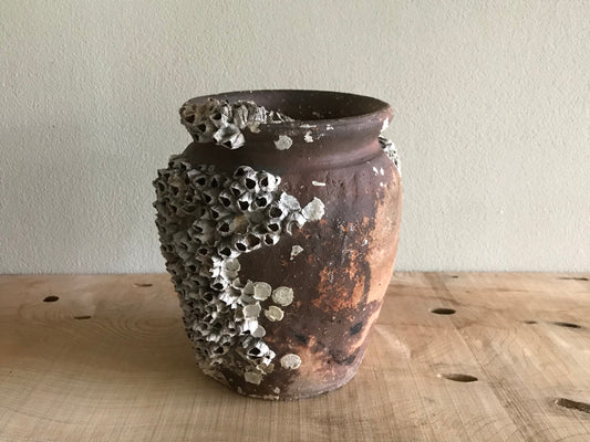 Octopus Pot